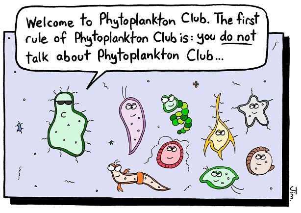 Phyto Club